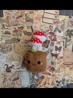 Mushroom Plush & Scrapbook Materials